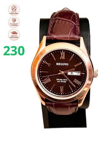 Đồng hồ Citizen Reguno